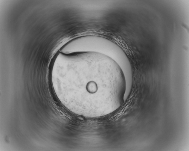 X0000097810292200804110958