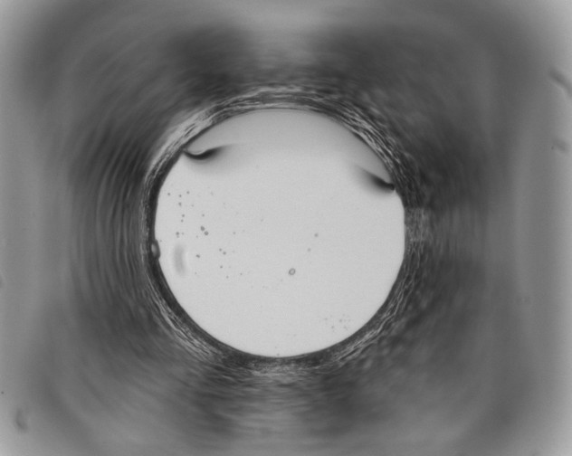 X0000097810293200804110958