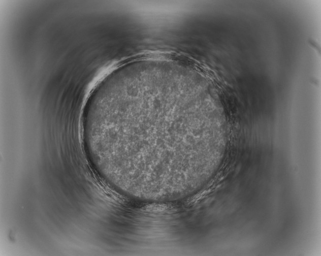 X0000097810294200804110958