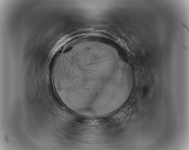 X0000097810295200804110958