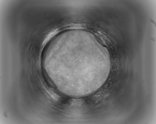 X0000097810296200804110958