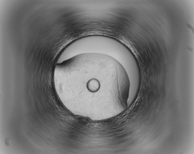 X0000097810297200804110958