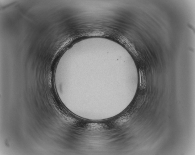 X0000097810300200804110958