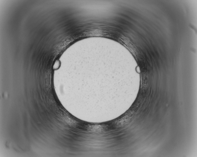 X0000097810301200804110958