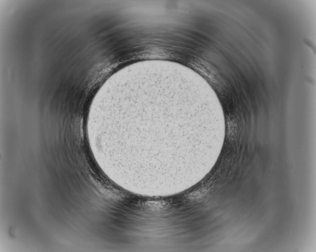 X0000097810302200804110958