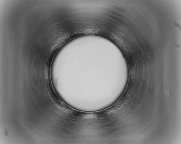 X0000097810303200804110958