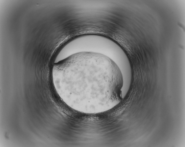 X0000097810304200804110958