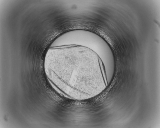 X0000097810305200804110958