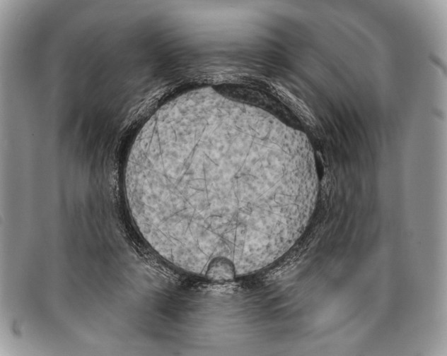 X0000097810306200804110958