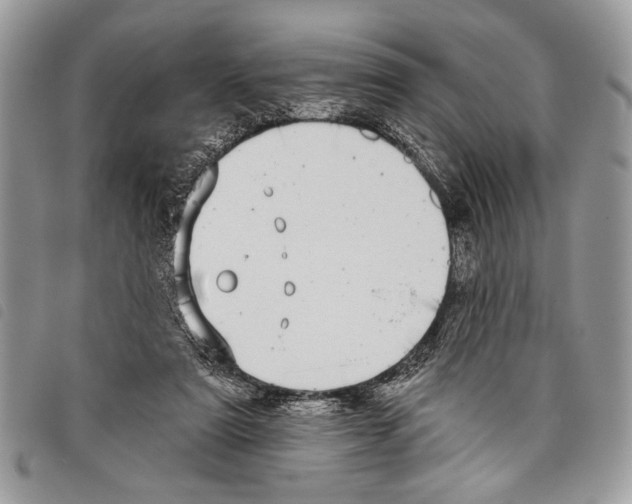 X0000097810307200804110958