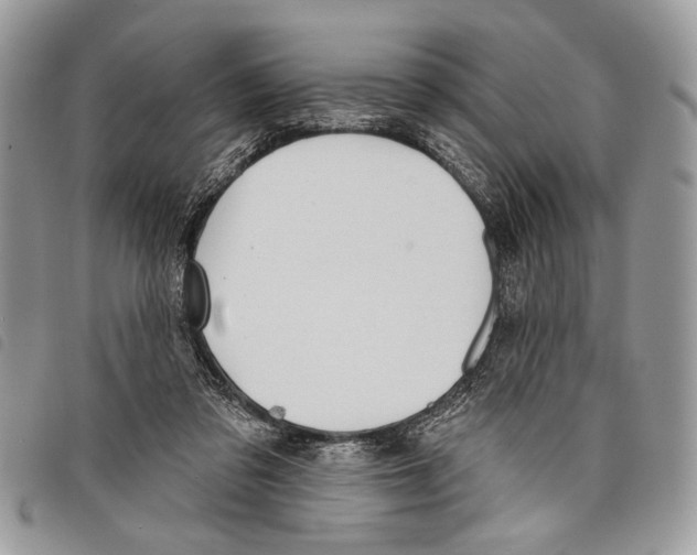 X0000097810309200804110958