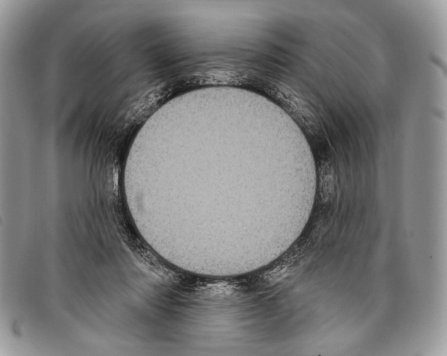 X0000097810310200804110958