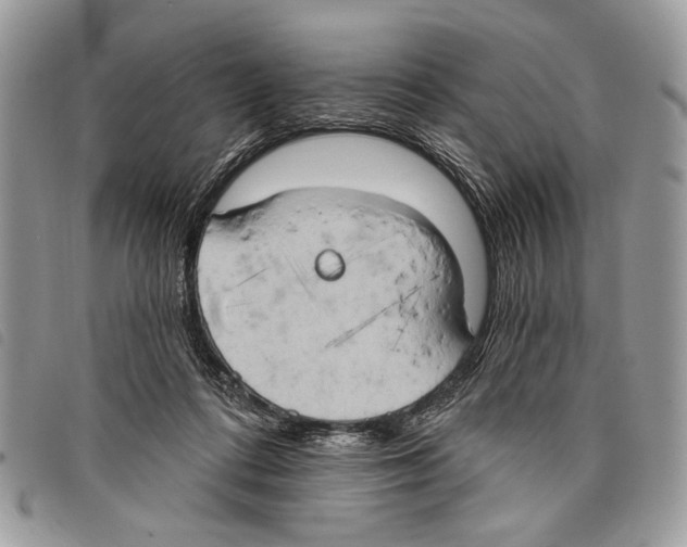 X0000097810312200804110958