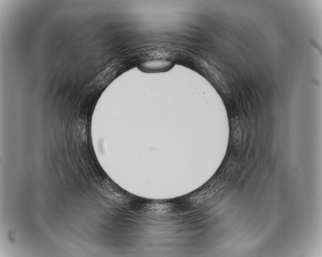 X0000097810313200804110958