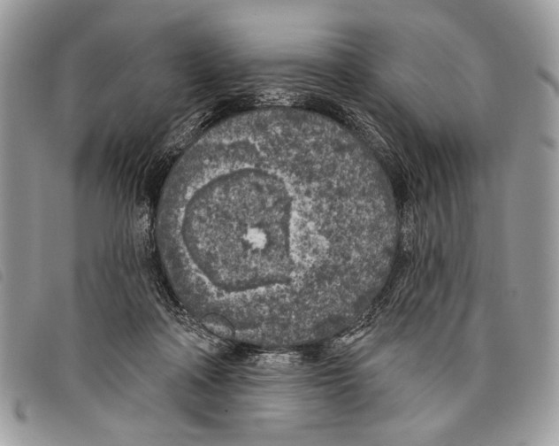 X0000097810314200804110958