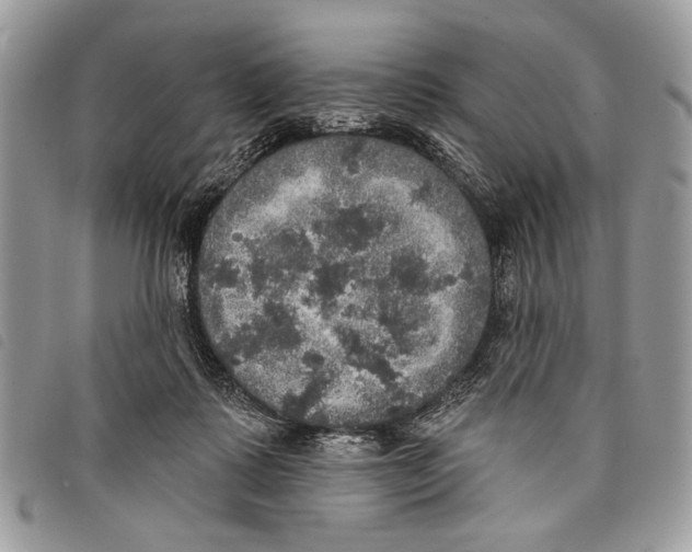 X0000097810315200804110958