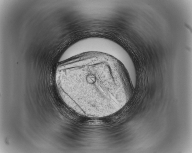 X0000097810316200804110958