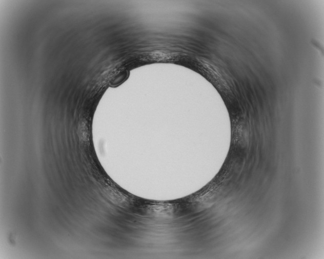 X0000097810317200804110958