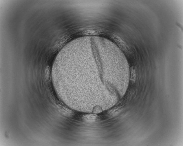 X0000097810318200804110958