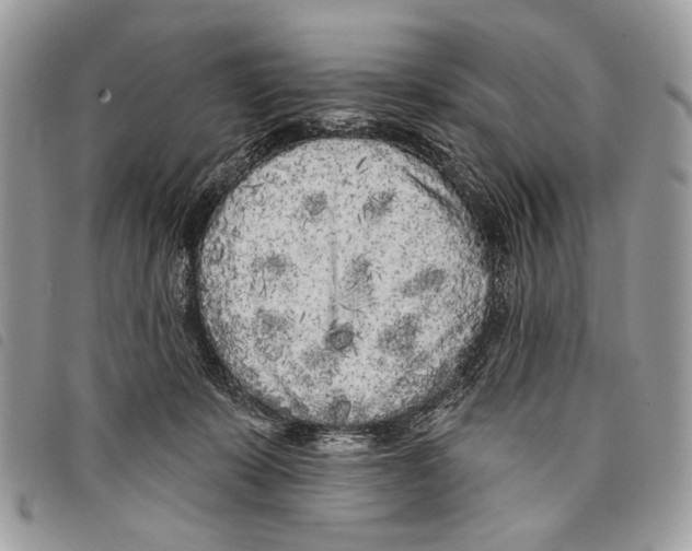 X0000097810319200804110958