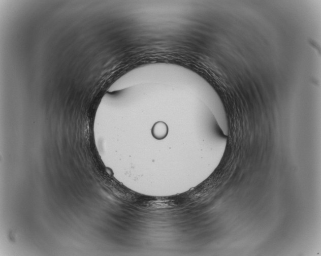 X0000097810320200804110958