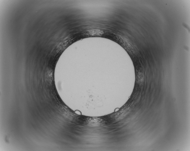 X0000097810321200804110958