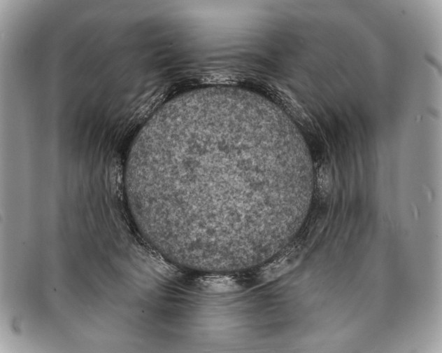 X0000097810322200804110958