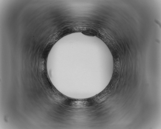 X0000097810323200804110958