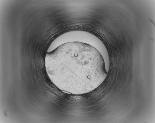 X0000097810324200804110958