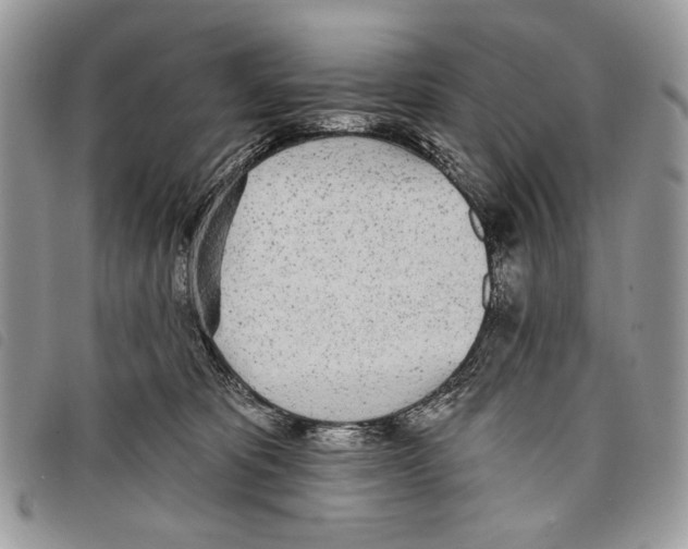 X0000097810325200804110958