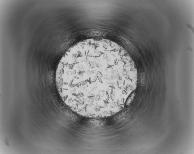 X0000097810326200804110958