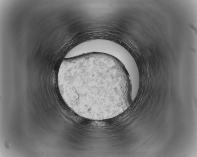 X0000097810328200804110957