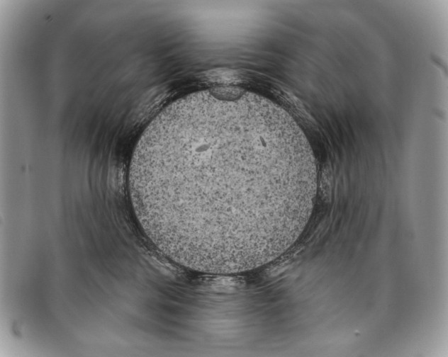 X0000097810330200804110957