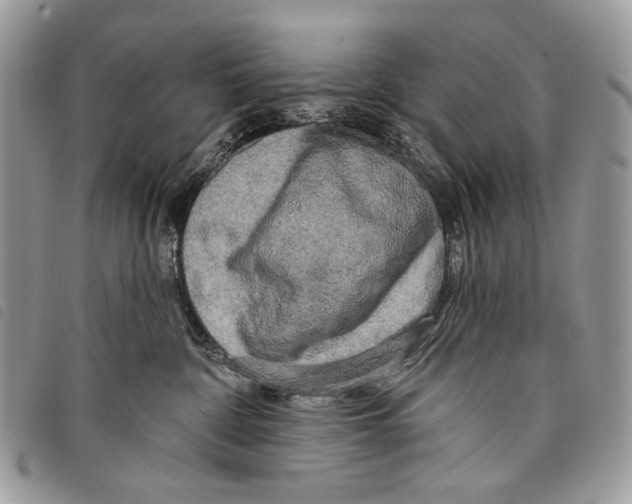 X0000097810332200804110957