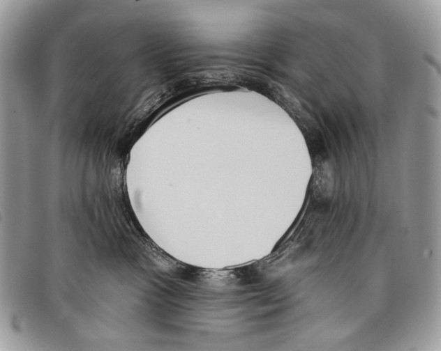 X0000097810333200804110957