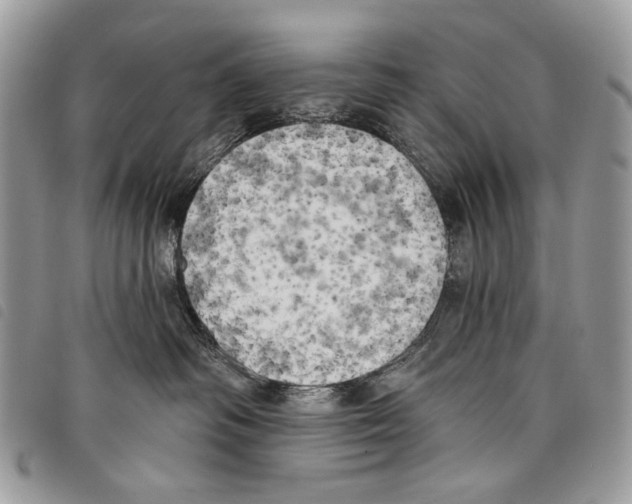 X0000097810334200804110957