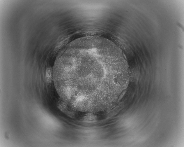 X0000097810335200804110957