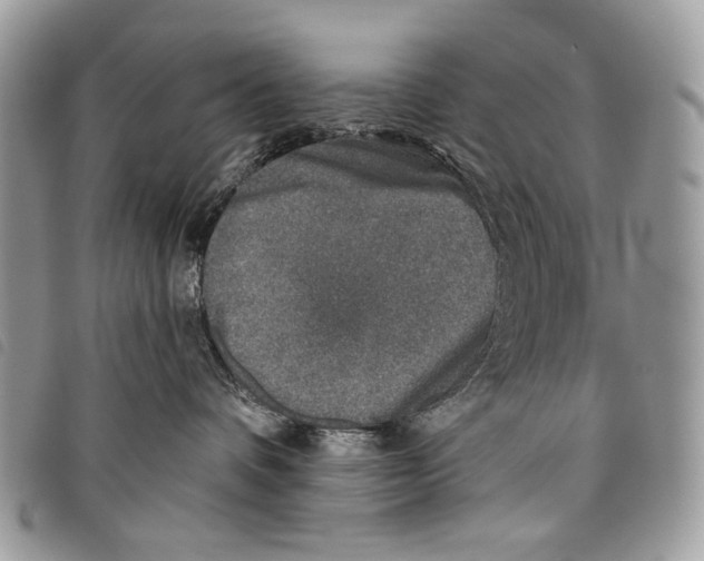 X0000097810336200804110957