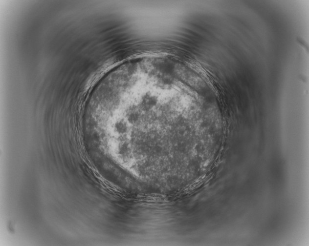 X0000097810337200804110956