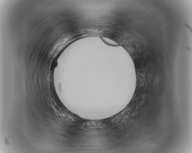 X0000097810338200804110956