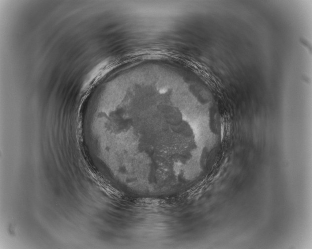 X0000097810339200804110956