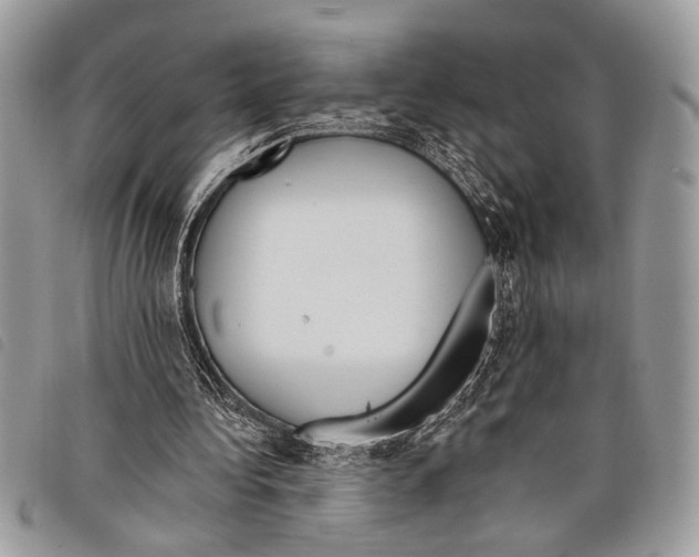 X0000097810340200804110956