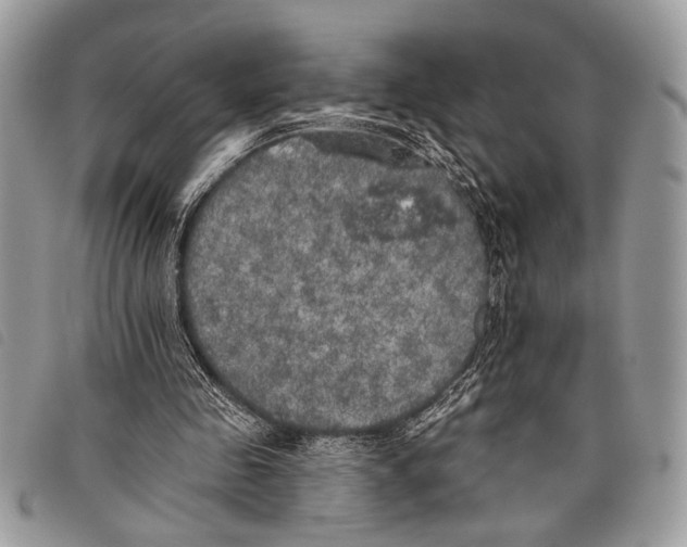 X0000097810341200804110956