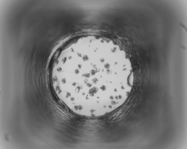 X0000097810342200804110957