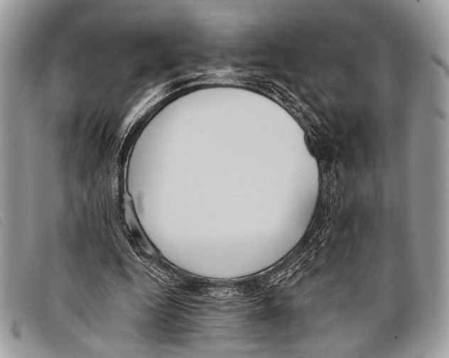 X0000097810344200804110957