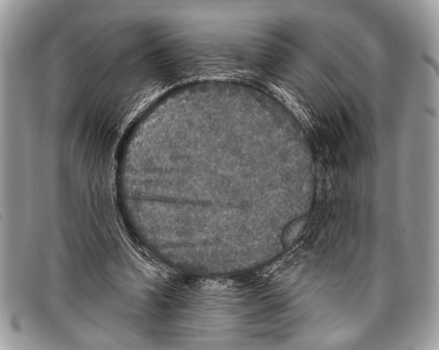 X0000097810346200804110957