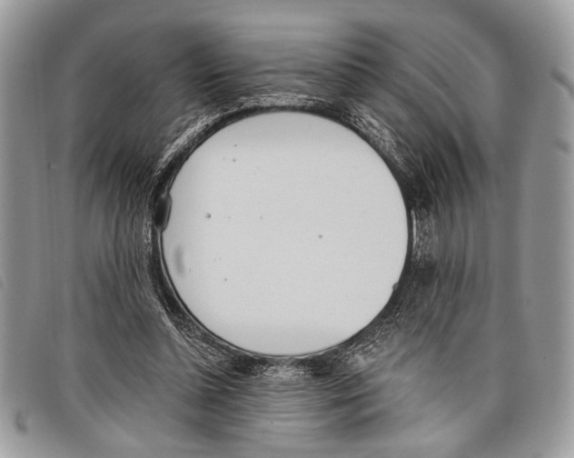 X0000097810348200804110957