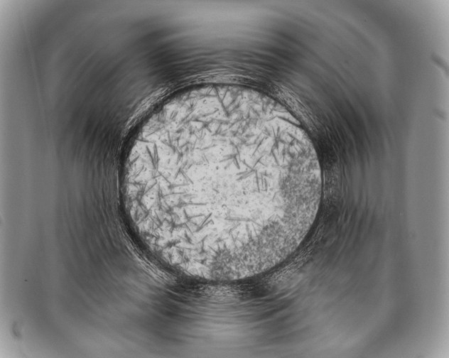 X0000097810349200804110957