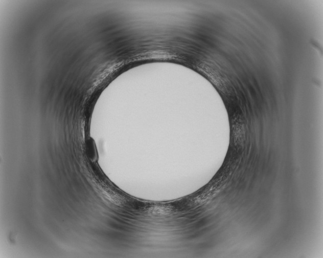 X0000097810350200804110957