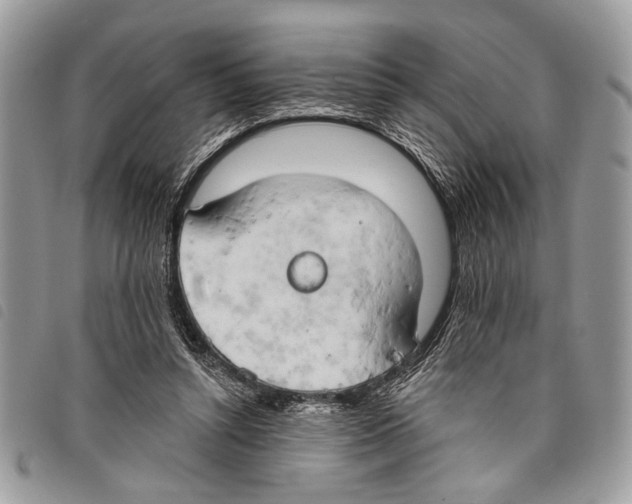 X0000097810352200804110957